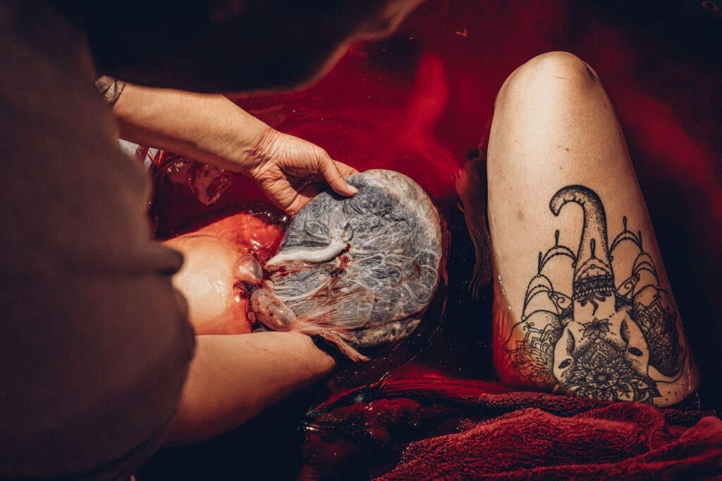 Erste Momente nach der Hausgeburt – Baby auf der Brust der Mama